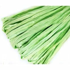 Tout neuf ⭐ Czech Beads Exclusive Fil Nylon 5m Vert Clair Mat Plat Raphia Bande En Nylon De Broderie à La Main En Fil D'Orfèvrerie Luneville Tam 🛒